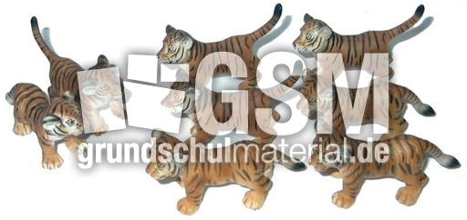Tiger-2+6.jpg